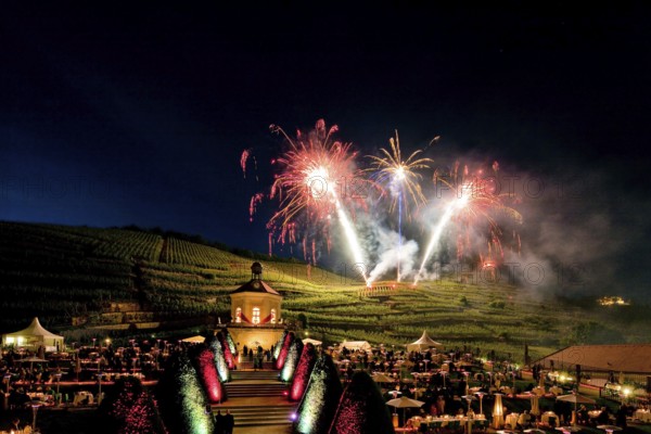 Summer night ball at Wackerbarth Castle. Schloss Wackerbarth or Wackerbarths Ruh' is a baroque castle surrounded by vineyards in the Niederlößnitz district of Radebeul on the road to Meissen, which serves as the seat of the Saxon State Winery. The winery belongs to the large Lößnitz vineyard and is located in the single vineyard Radebeuler Johannisberg
