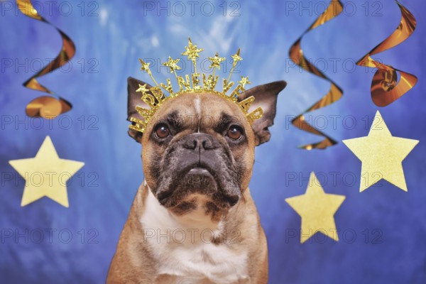 French Bulldog dog wearing New Year's Eve party headband with text 'Happy new year' in front of blue background with golden garlands