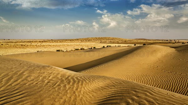 Panorama of dunes of Thar Desert. Sam Sand dunes, Rajasthan, India, Asia