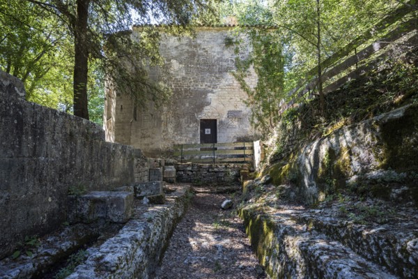 Remains of the medieval monastery of Caluc, Prieuré de Carluc, Cereste, Alpes-de-Haute-Provence department, Provence, France, Europe