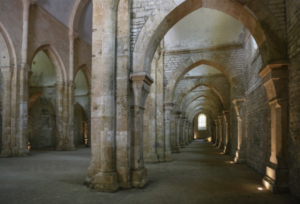 Nave of the Cistercian Abbey of Fontenay, Unesco World Heritage Site, Cote d'Or, Burgundy, France, Europe