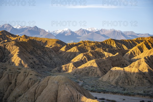 Landscape of eroded hills at sunrise, badlands, white mountain peaks of the Tian Shan Mountains in the background, Canyon of the Forgotten Rivers, Issyk Kul, Kyrgyzstan, Asia