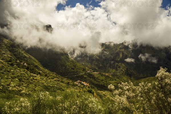 Panorama from the Mirador de Hilda viewpoint, Masca Valley, Teno Mountains, Tenerife, Canary Islands, Spain, Europe