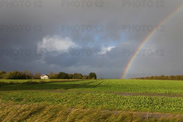 Rainbow at Storvorde, Sejlflod, Aalborg, Nordjylland, North Jutland, Limfjord, Denmark, Europe