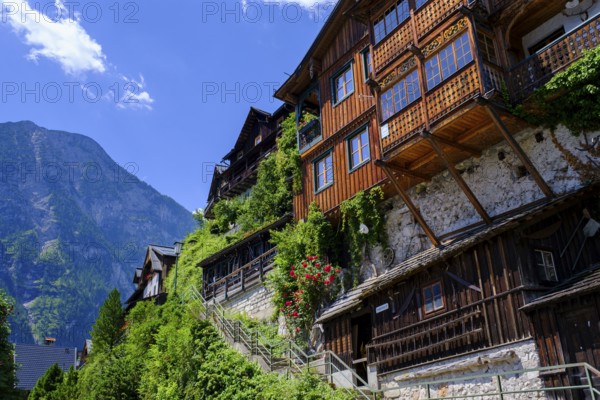 Residential buildings, Hallstatt am Hallstätter See, Salzkammergut, Upper Austria, Austria, Europe