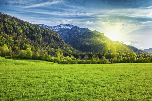 Alpine meadow in Bavarian Alps. Bavaria, Germany, Europe
