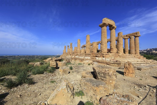 In the Parco Valle dei Templi di Agrigento, Unesco World Heritage Site, Remains of the Ancient City of Akragas in the Valley of the Temples of Agrigento, Temple of Hera Lacinia or Temple of Juno, Tempio di Giunone, Sicily, Italy, Europe