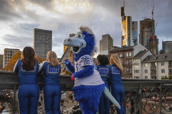 The cheerleaders and the Indianapolis Colts mascot parade through Frankfurt am Main. On Sunday, 12 November 2023, the two NFL football teams of the Indianapolis Colts and the New England Patriots will compete against each other in Frankfurt's Waldstadion, Eiserner Steg, Frankfurt am Main, Hesse, Germany, Europe