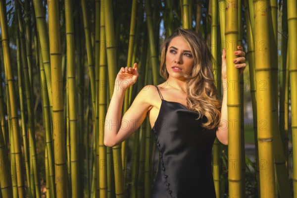 Portrait of a Caucasian girl in a black dress in a bamboo forest