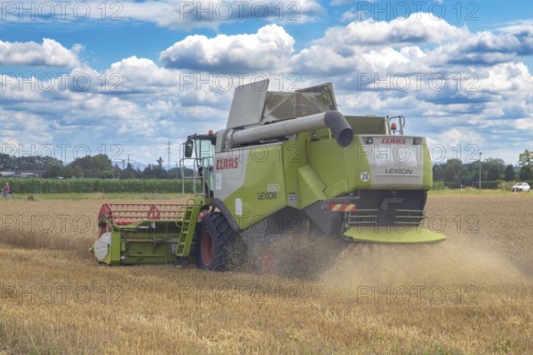 Grain harvest in the Rhein-Pfalz district near Mutterstadt