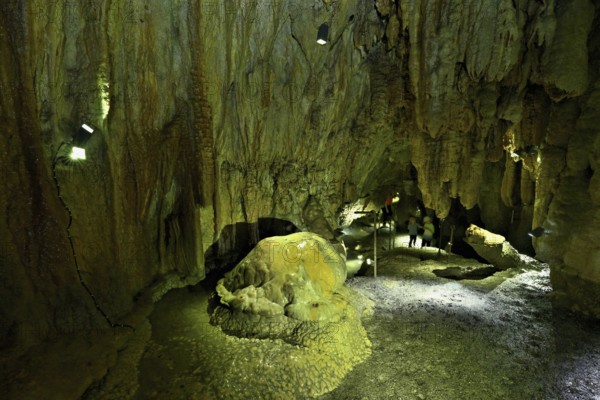 Arched turtle and crocodile, calcite formations, landmark of the grotto, stalactite cave, Höllgrotten, Baar, Canton Zug, Switzerland, Europe
