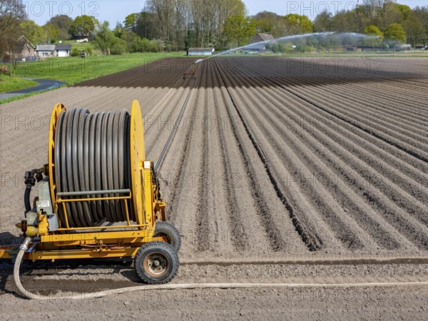 Artificial irrigation of a potato field in April, with a sprinkler system, long drought in spring makes this necessary, for the total of 7.5 hectares 3 full days are needed to get the necessary moisture for the freshly sown potato plants, south of Straelen, Lower Rhine, North Rhine-Westphalia, Germany, Europe