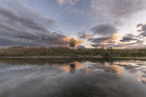 A body of water with a tree in the foreground. The water is calm and the sky is cloudy. Bas-Rhin, Alsace, Grand Est, France, Europe