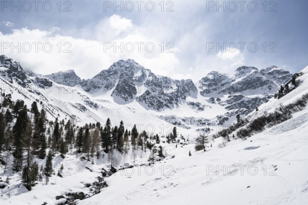 Mountain valley with mountain stream and forest with snow, Picturesque mountain landscape with mountain peaks Piz d'Alp Val and Piz Bial, Grisons Haute Route, Albula Alps, Rhaetian Alps, Grisons, Eastern Switzerland, Switzerland, Europe