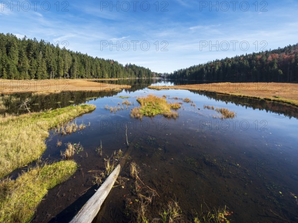 Großer Arbersee, Bavarian Forest, Lower Bavaria, Bavaria, Germany, Europe