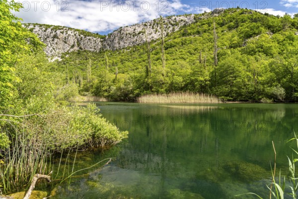 The River Cetina in the Cetina Gorge near Omis, Croatia, Europe