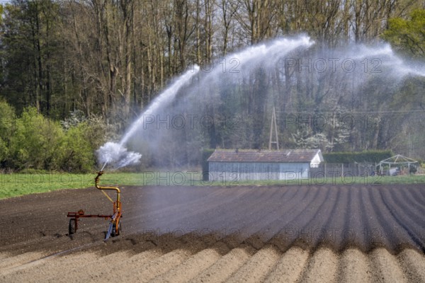 Artificial irrigation of a potato field in April, with a sprinkler system, long drought in spring makes this necessary, for the total of 7.5 hectares 3 full days are needed to get the necessary moisture for the freshly sown potato plants, south of Straelen, Lower Rhine, North Rhine-Westphalia, Germany, Europe