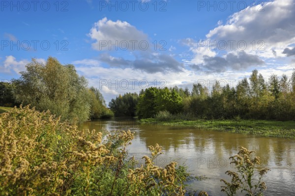 Bergkamen, Ruhr area, North Rhine-Westphalia, Germany, autumn landscape on the Seseke. The renaturalised Seseke, a tributary of the Lippe, has been transformed into a near-natural watercourse, flood protection and biodiversity through newly designed floodplains. Following the construction of a parallel sewer, the Seseke is now free of wastewater, having previously been an open, above-ground wastewater sewer, combined sewer with surface water and wastewater, Europe
