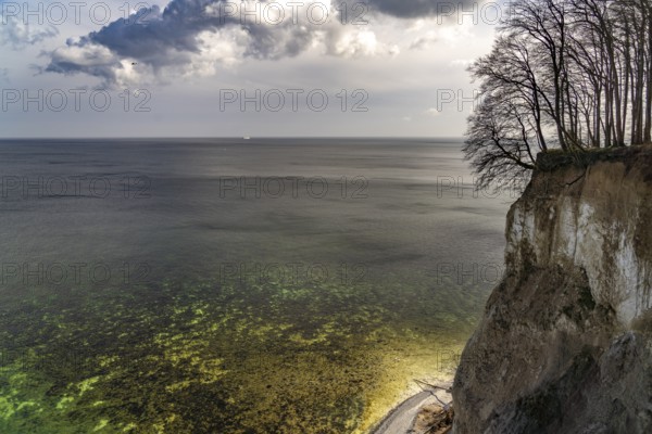 The famous chalk cliffs on the Baltic Sea coast in Jasmund National Park, Ruegen Island, Mecklenburg-Western Pomerania, Germany, Europe