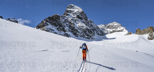 Ski tourer, rope team on the Vadret da Porchabella glacier on the ascent to the summit of Piz Kesch, mountain landscape in winter, alpine tour, Grisons Haute Route ski tour, Albula Alps, Rhaetian Alps, Grisons, Eastern Switzerland, Switzerland, Europe