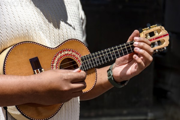 Cavaquinho being played during a samba performance on the streets of Brazil, Brazil, South America