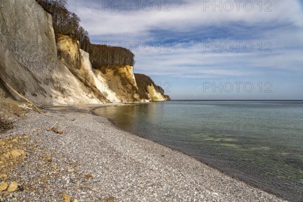 Beach and the chalk cliffs on the Baltic Sea coast in Jasmund National Park, Ruegen Island, Mecklenburg-Western Pomerania, Germany, Europe