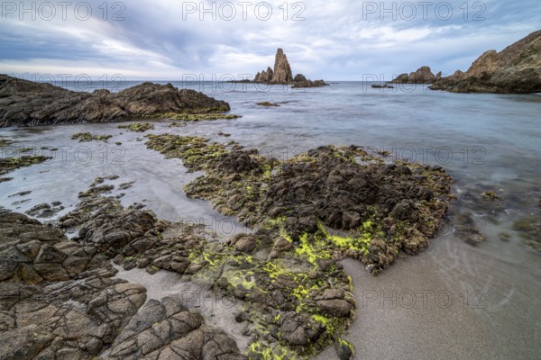 Rocky coast, Cabo de Gata-Nijar Natural Park, Almeria, Andalusia, Spain, Europe