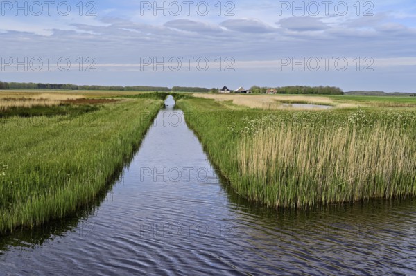 Man-made drainage canal, Texel, West Frisian Island, Province of North Holland, Holland Netherlands