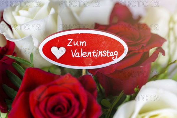 Valentine's greetings: Warm Valentine's Day greetings with a bouquet of white and red roses