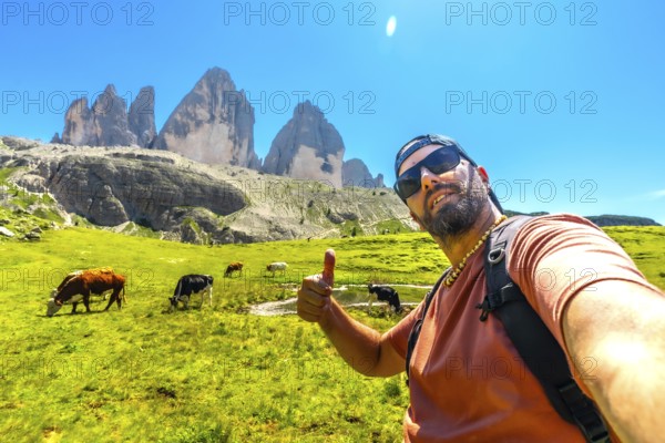 Hiker giving thumbs up while taking a selfie with cows grazing in a meadow with the tre cime di lavaredo in the background, dolomites, italy