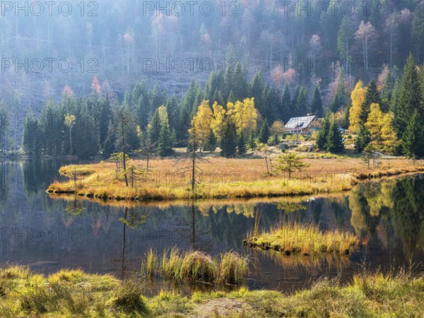 Kleiner Arbersee in autumn with Gasthof Seehäusl, Bavarian Forest, Lower Bavaria, Bavaria, Germany, Europe