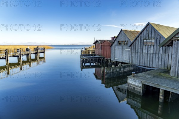 Boathouses in the small harbour of Althagen, Ahrenshoop, Mecklenburg-Vorpommern, Germany, Europe
