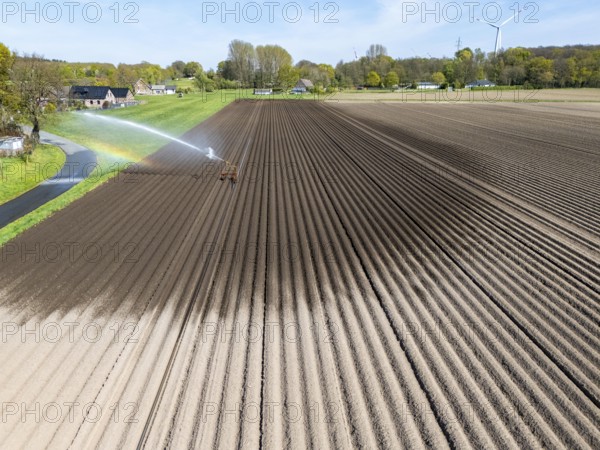 Artificial irrigation of a potato field in April, with a sprinkler system, long drought in spring makes this necessary, for the total of 7.5 hectares 3 full days are needed to get the necessary moisture for the freshly sown potato plants, south of Straelen, Lower Rhine, North Rhine-Westphalia, Germany, Europe