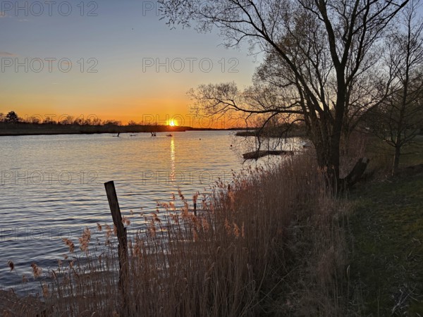 Romantic sunset over a river with trees and reeds on the banks, Gartow, Wendland, Lower Saxony, Germany, Europe