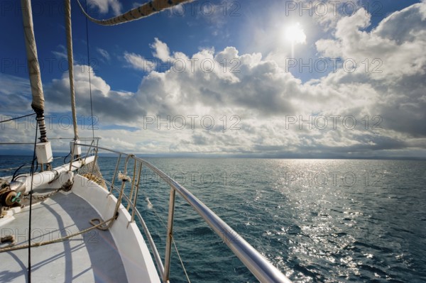 Sailing, sailing ship in the evening sun, backlight, sky, beautiful weather, atmosphere, journey, holiday, sea, dream holiday, dream trip