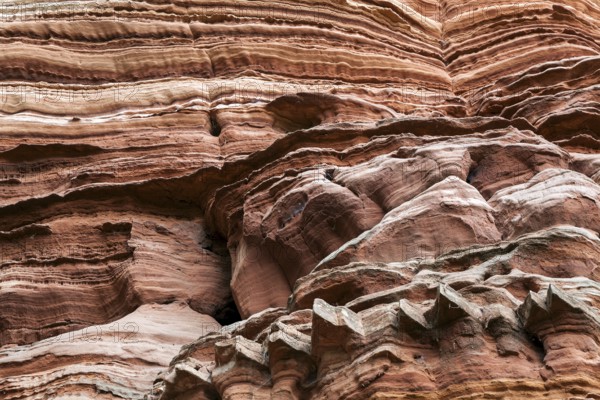Eroded red sandstone, old castle rock, close-up, natural and cultural monument, Brechenberg near Eppenbrunn, Palatinate Forest, Rhineland-Palatinate, Germany, Europe