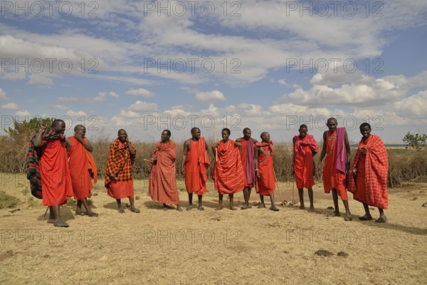 Maasai at a dance performance, Massai Mara, Enkutoto, Serengeti, Rift Valley province, Kenya, Africa