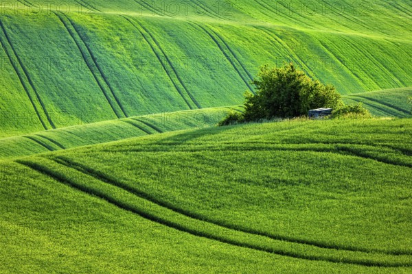 European rural wallpaper, Moravian rolling landscape, Moravia, Czech Republic, Europe