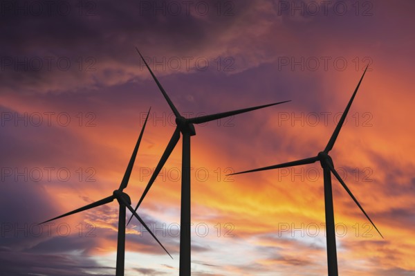 Green renewable energy concept, wind generator turbines in sky on sunset