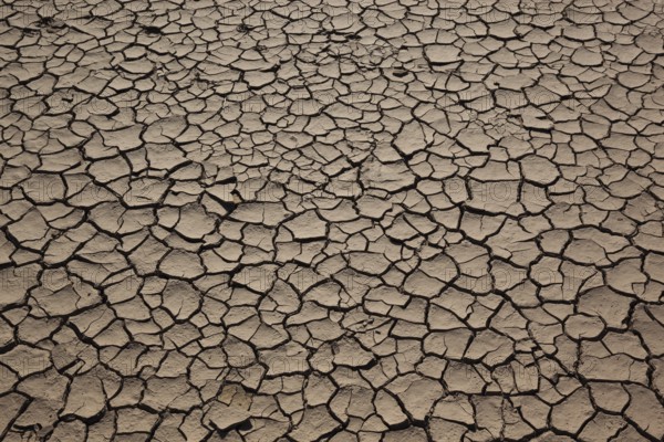 Dried clay surface, Oman, Asia
