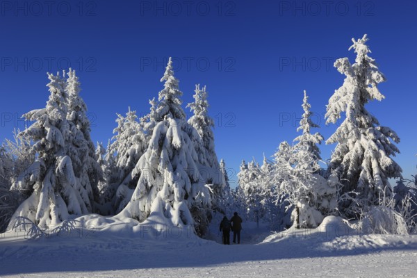 Winter landscape in the Fichtelgebirge, Bayreuth district, Upper Franconia, Bavaria, Germany, Europe