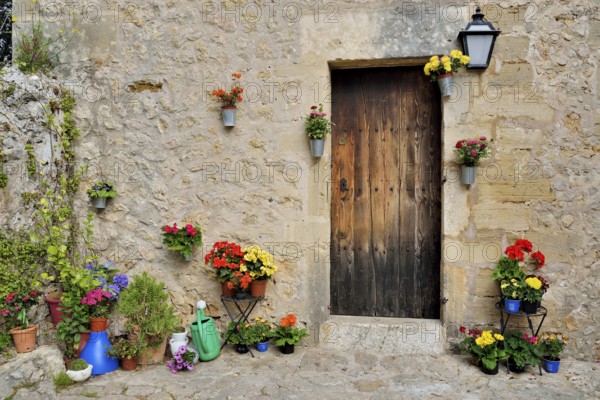 Flowerpots in front of a house, Pollenca, Majorca, Balearic Islands, Spain, Europe