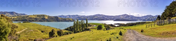 Bucht, Landschaft, Banks Peninsula, Canterbury, Neuseeland