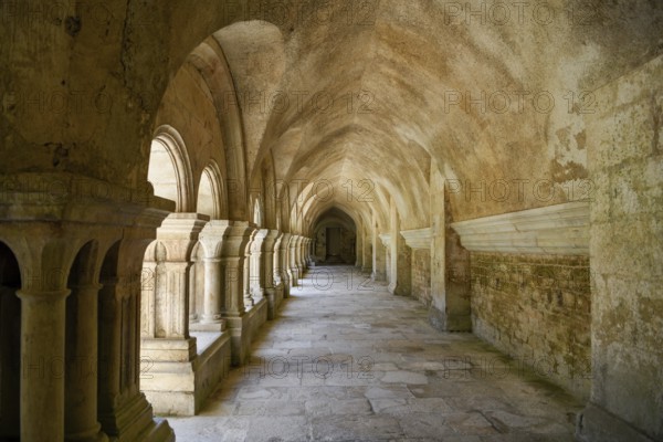 Cloister of the Cistercian Abbey of Fontenay, Unesco World Heritage Site, Cote d'Or, Burgundy, France, Europe