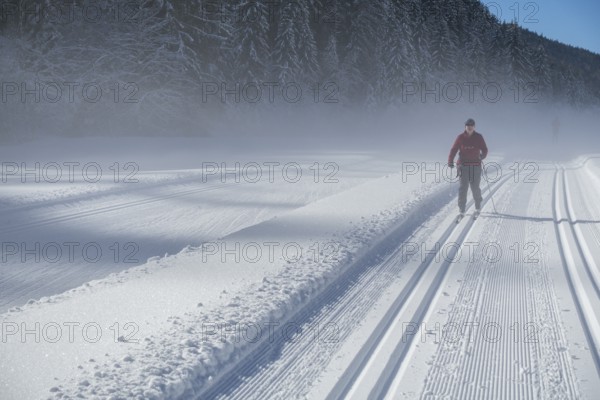 Perfect track on the cross-country circuit alte Mühle, Ramsau am Dachstein, Styria, Austria, Europe