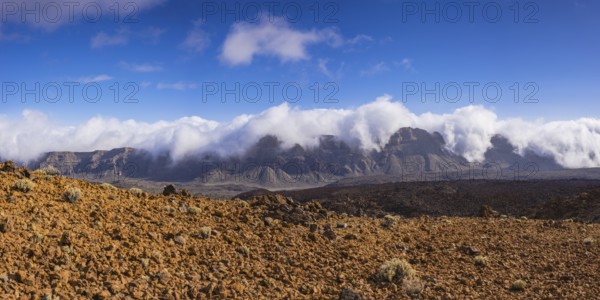 Tenerife National Park, World Heritage Site, Tenerife, Canary Islands, Spain, Europe