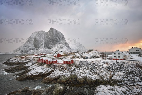 Famous tourist attraction Hamnoy fishing village on Lofoten Islands, Norway with red rorbu houses. With falling snow in winter on sunrise
