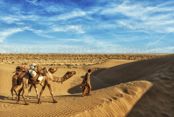 Rajasthan travel background, India cameleer (camel driver) with camels in dunes of Thar desert. Jaisalmer, Rajasthan, India, Asia