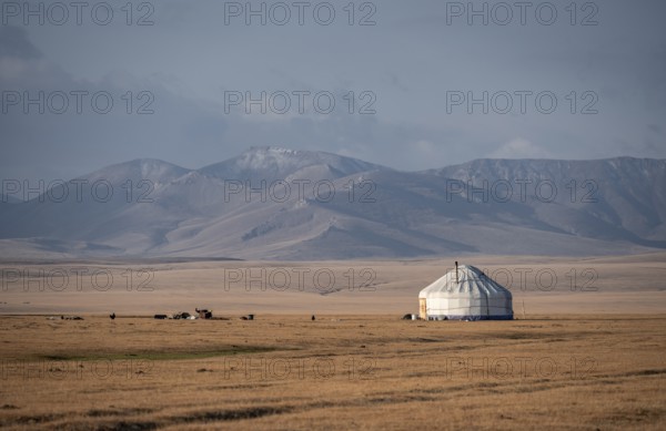 Traditional yurts at Songköl on a plateau, mountains in the background, Kyrgyzstan, Asia