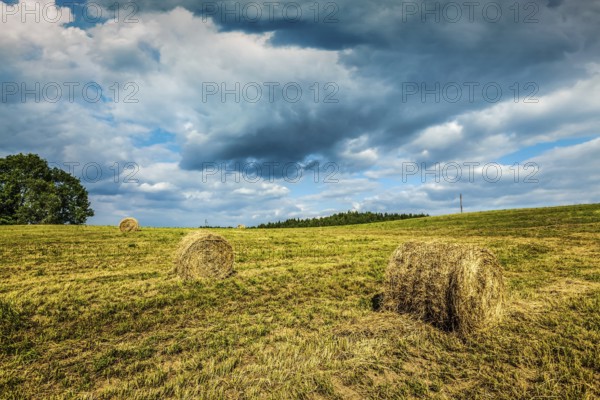 Agriculture background, a stunning summer landscape with hay bales scattered across a field, with a blue sky and wispy clouds in the background